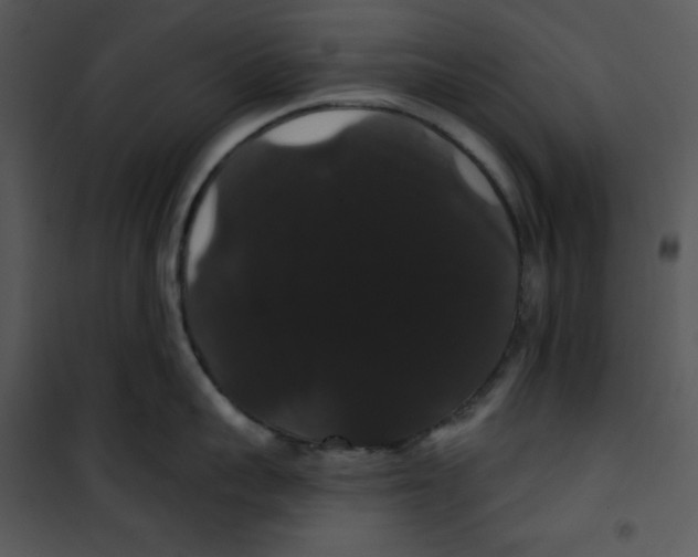 X0000100890959200807220948