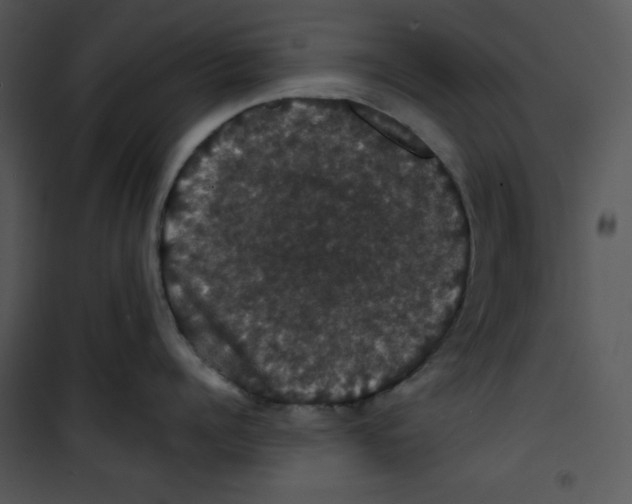 X0000100890960200807220948