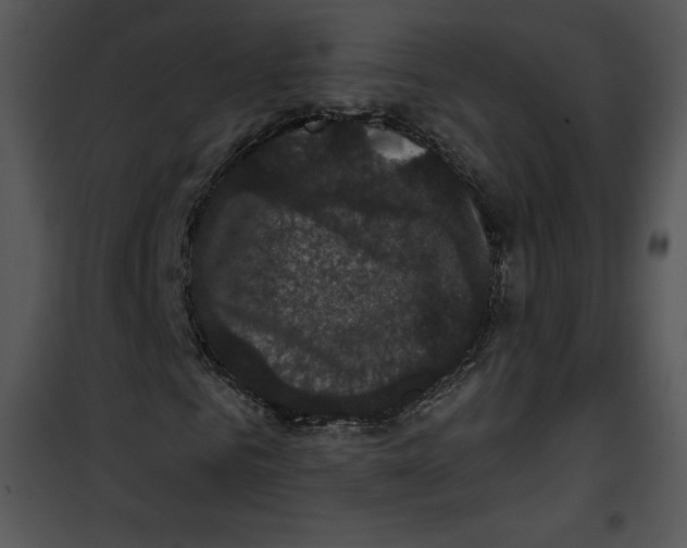 X0000100890961200807220948