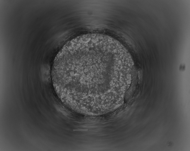 X0000100890963200807220948