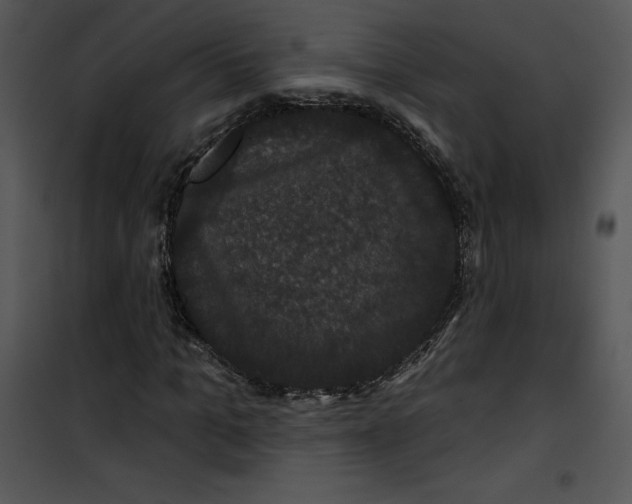 X0000100890965200807220947