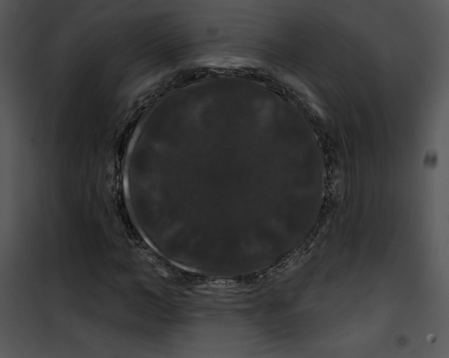 X0000100890966200807220947