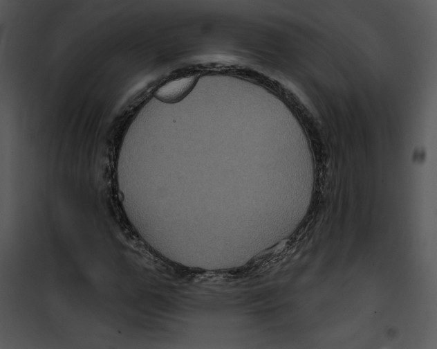 X0000100890967200807220947