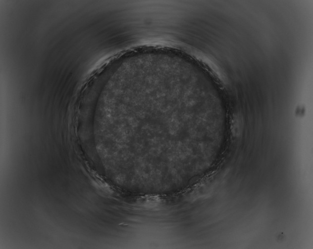 X0000100890968200807220947