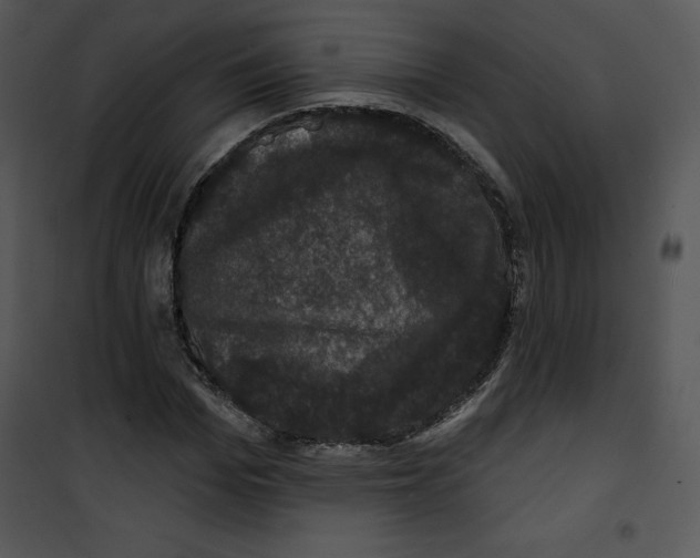 X0000100890969200807220947