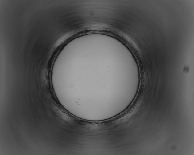 X0000100890970200807220947