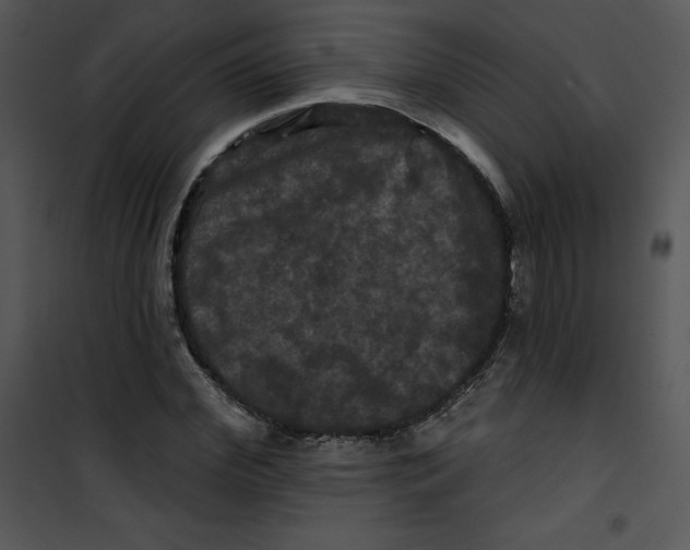 X0000100890972200807220947