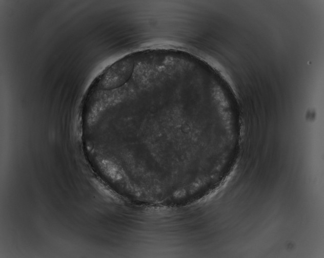 X0000100890973200807220947