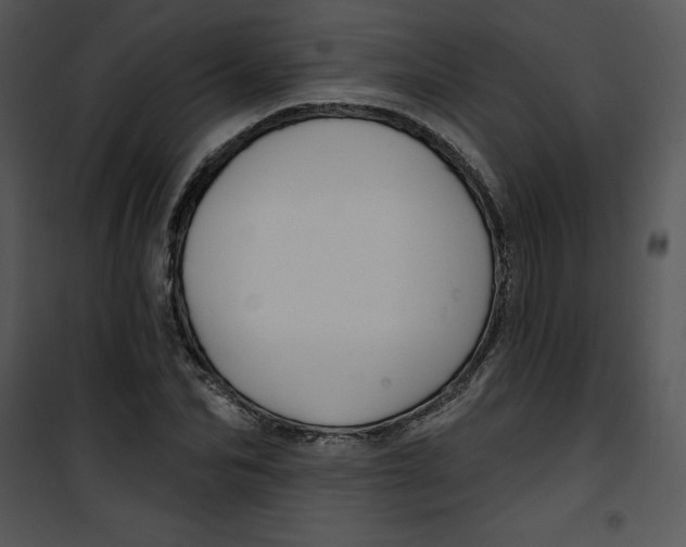 X0000100890974200807220947