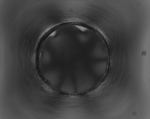 X0000100890975200807220947