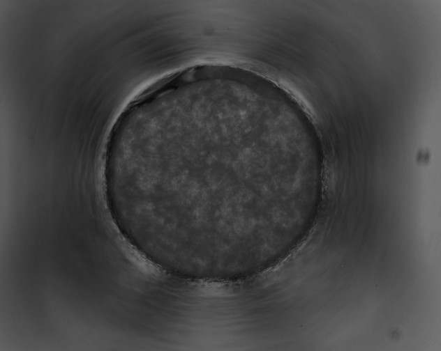 X0000100890976200807220947