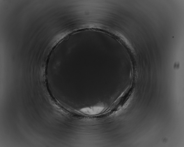 X0000100890977200807220947