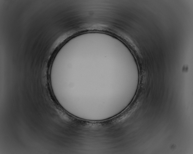 X0000100890978200807220947