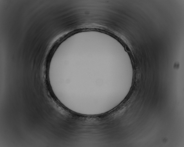 X0000100890979200807220947