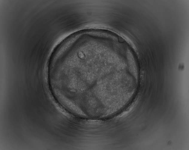 X0000100890981200807220947