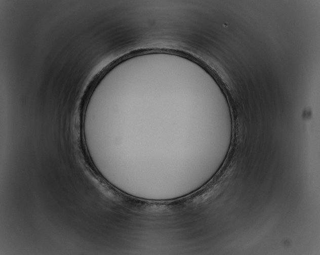 X0000100890982200807220947