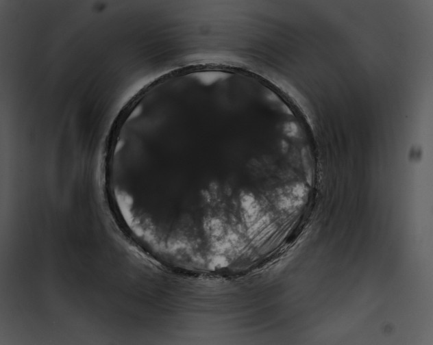 X0000100890983200807220947