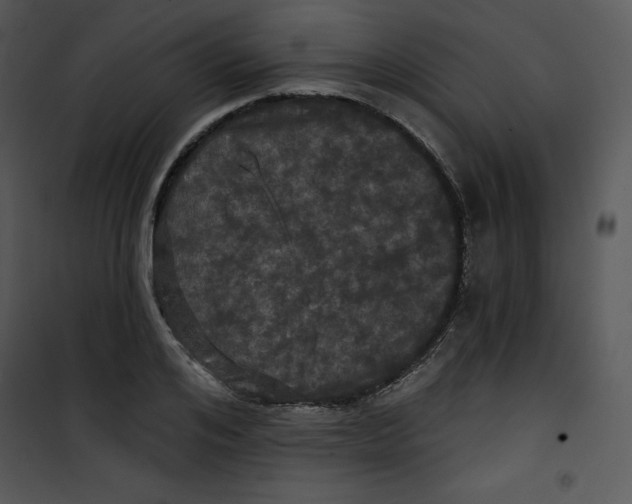 X0000100890984200807220947