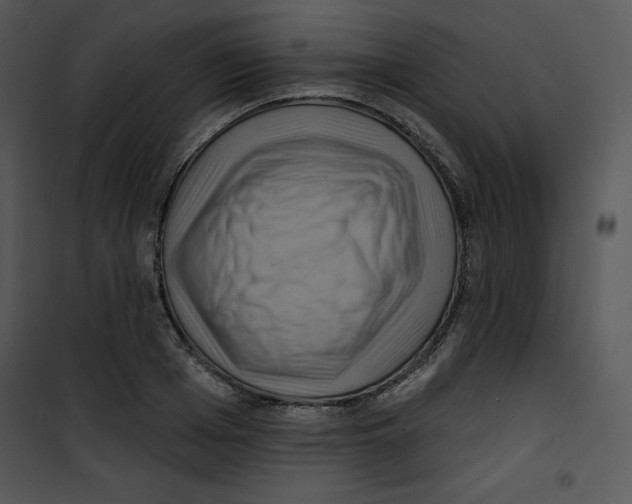 X0000100890985200807220947