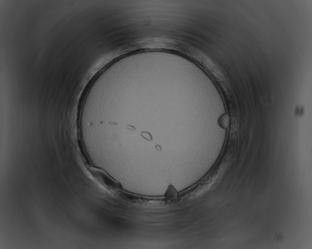 X0000100890986200807220947