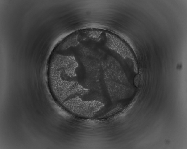 X0000100890987200807220947