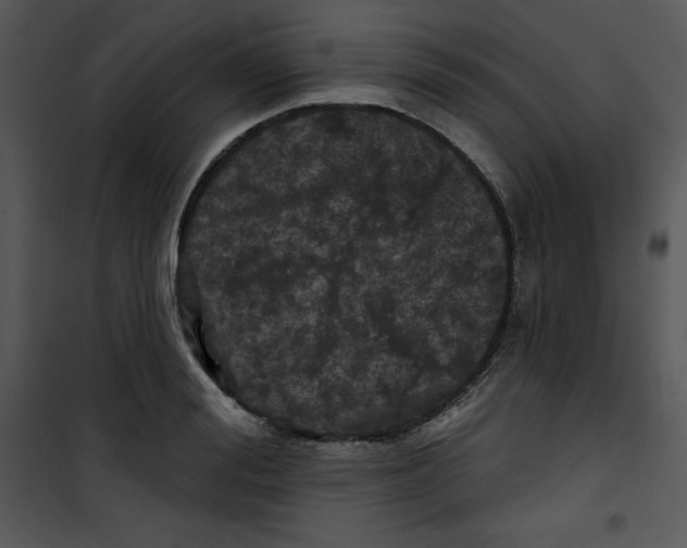 X0000100890988200807220947