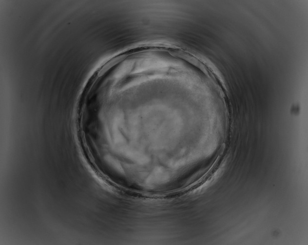 X0000100890989200807220947