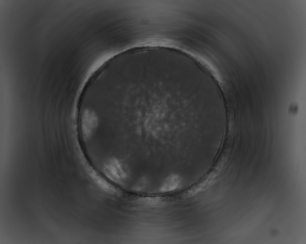 X0000100890990200807220947