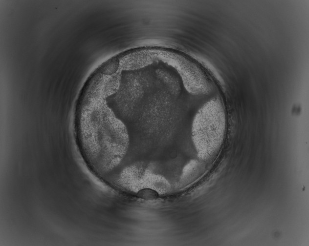 X0000100890991200807220947