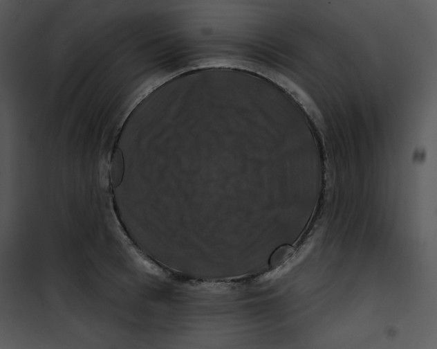 X0000100890993200807220947