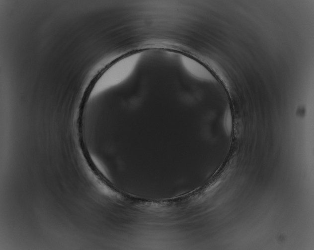 X0000100890995200807220947