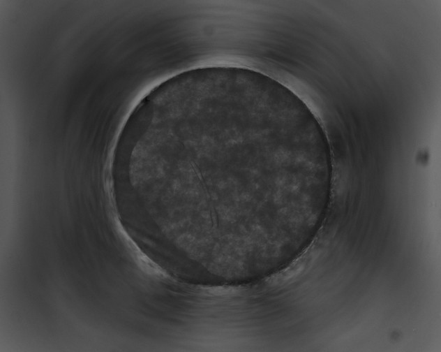 X0000100890996200807220947