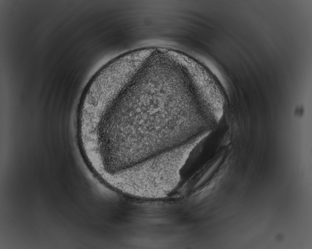 X0000100890999200807220947