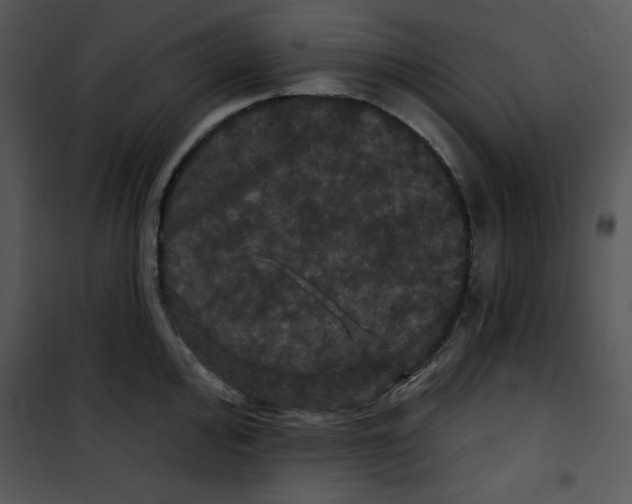 X0000100891000200807220947