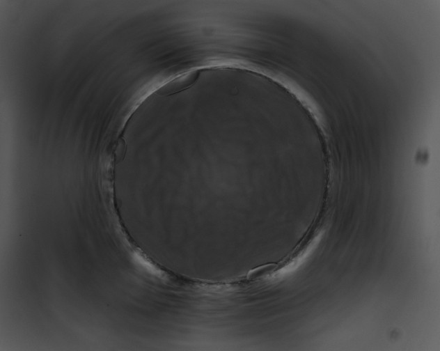 X0000100891001200807220947