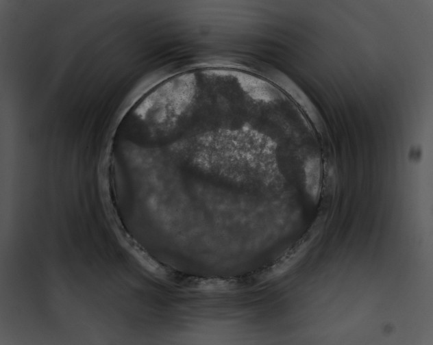 X0000100891002200807220947