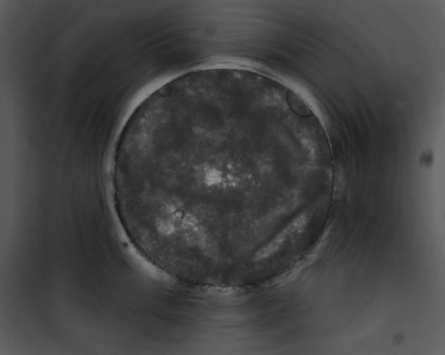 X0000100891003200807220947