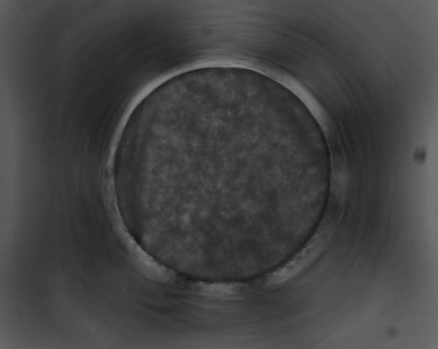 X0000100891004200807220947