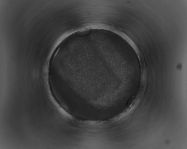 X0000100891005200807220947