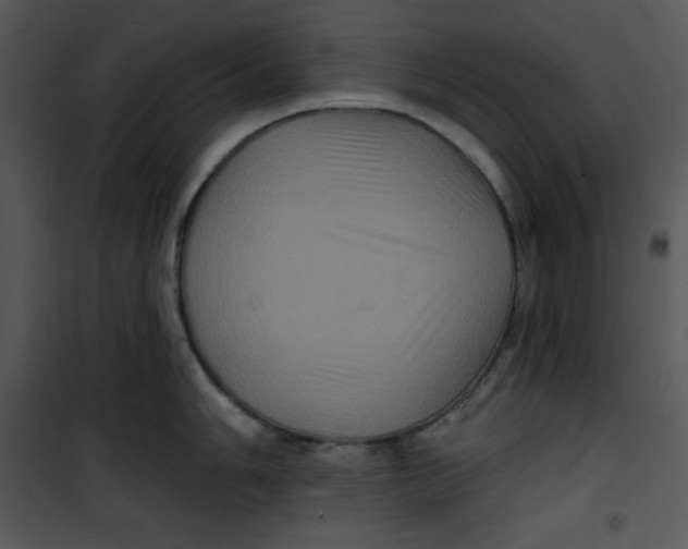 X0000100891006200807220947