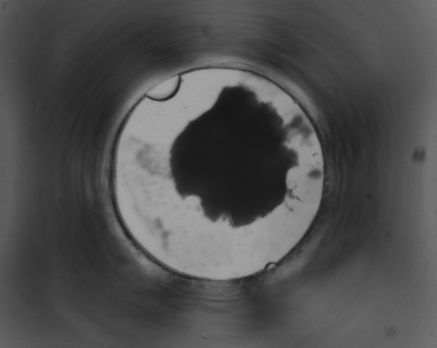 X0000100891007200807220947