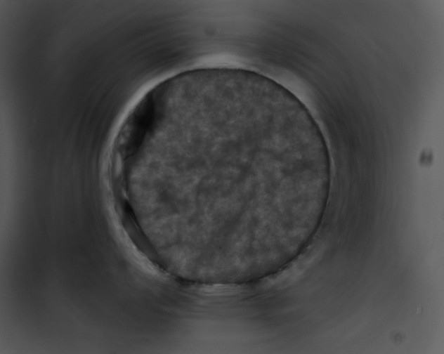 X0000100891008200807220947