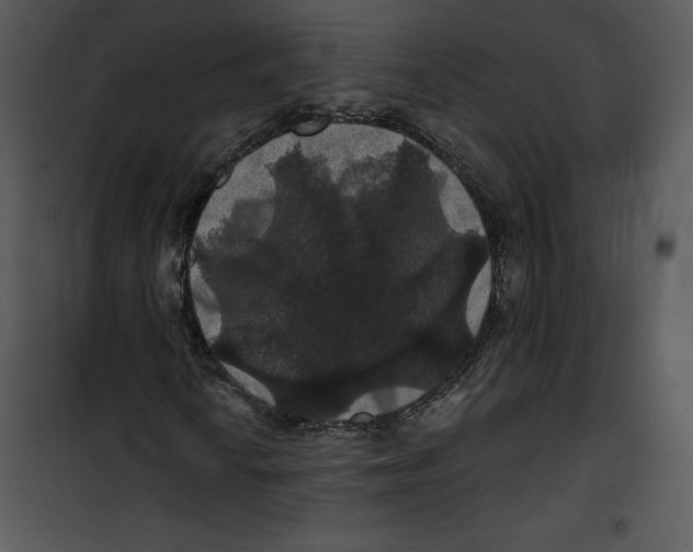 X0000100891010200807220946