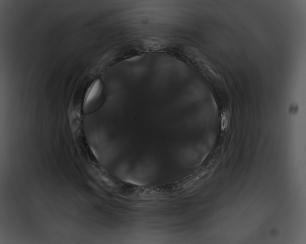 X0000100891011200807220946