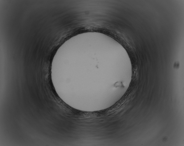 X0000100891012200807220946