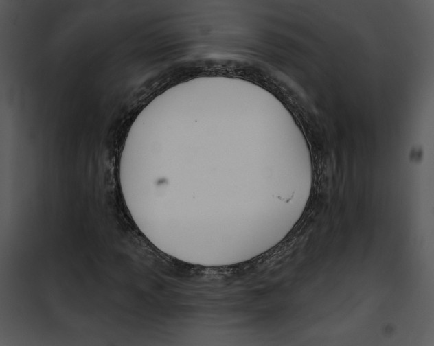 X0000100891013200807220946