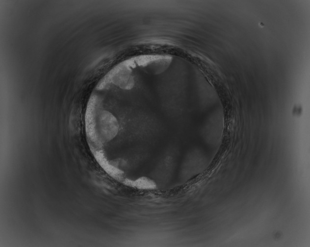 X0000100891014200807220946