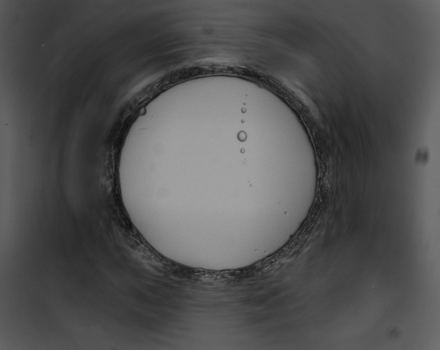 X0000100891015200807220946