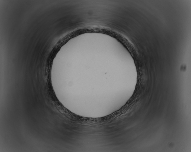 X0000100891016200807220946