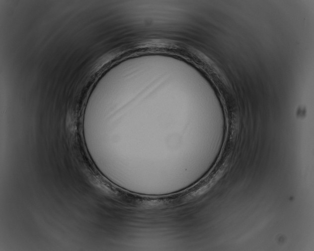 X0000100891017200807220946